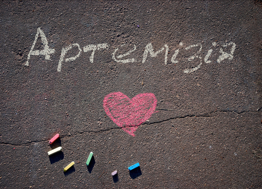 Images with name Artemiziia